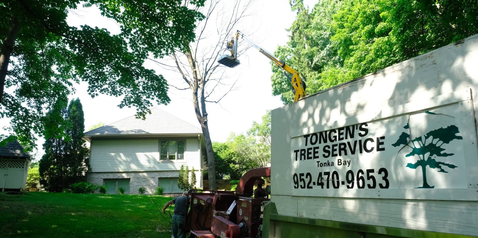 Tongen Tree & Snow project in the west metro area of the Twin Cities