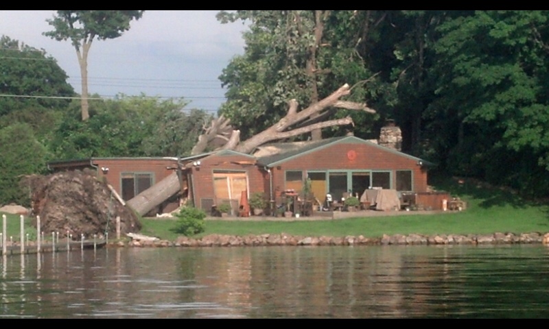 Minnesota's West Metro Tree Specialists 